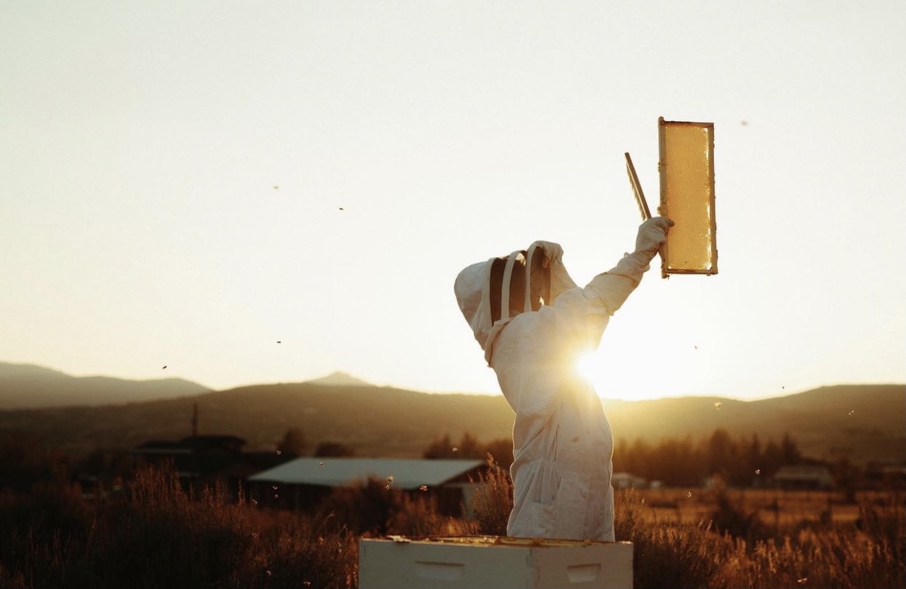 Ask a Beekeeping Expert - McKay Opeifa 2